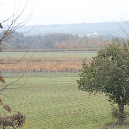 Il Vecchio Portico * Francavilla Bisio