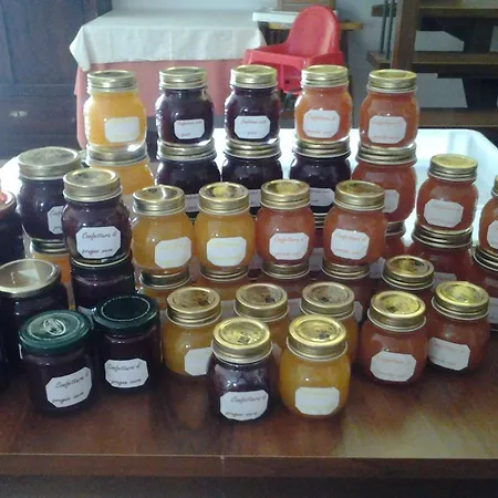 Il Vecchio Portico Bauernhof *