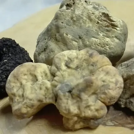 בית חווה Il Vecchio Portico