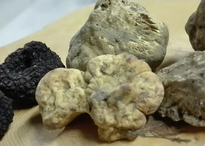 Bauernhof Il Vecchio Portico